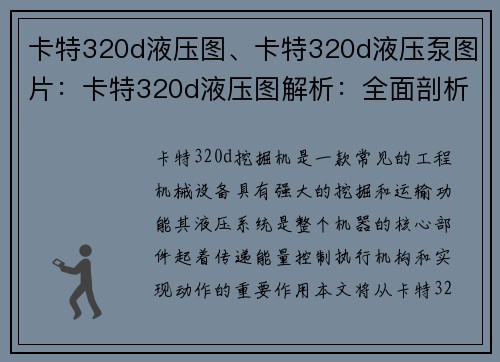 卡特320d液压图、卡特320d液压泵图片：卡特320d液压图解析：全面剖析挖掘机液压系统