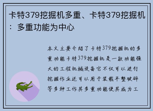 卡特379挖掘机多重、卡特379挖掘机：多重功能为中心