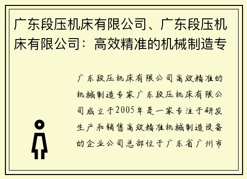 广东段压机床有限公司、广东段压机床有限公司：高效精准的机械制造专家